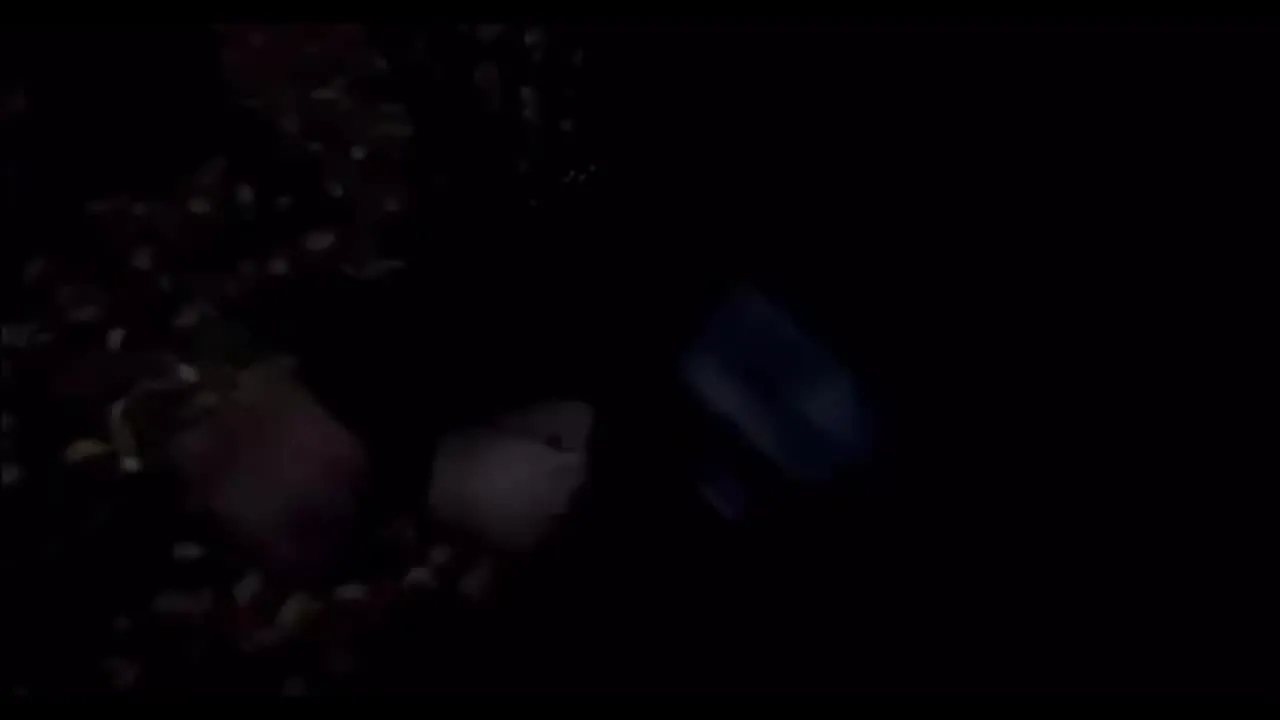 They pierced the head of a Russian pawnbroker