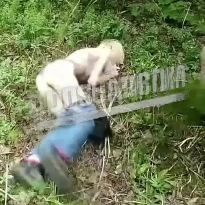 Закладчицу сначала отхлестали после выебали