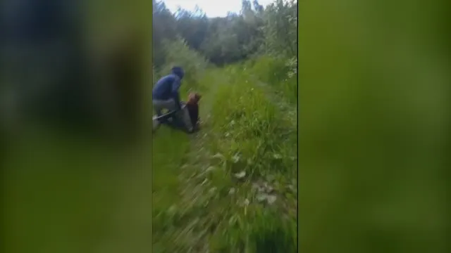 Buty sportowe dały leszcza zbieraczowi dystroficznemu
