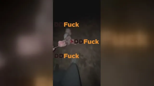 Xanny Bunny zerżnięta w lesie w bagażniku