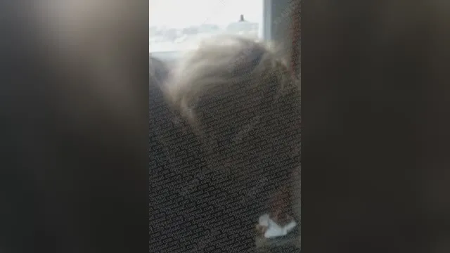 Rosyjski lombard był molestowany i pieprzony w dupę